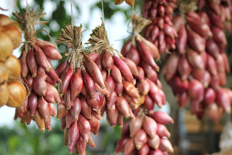 Seed Swap